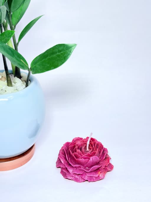 Floating Lotus Candles